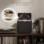 Costravio Vinyl Record Storage Record Holder Display Box Album Storage Moving Boxes Holds 30+ Valuable Records 7/10/12 Inch Record Crates Vinyl Organizer for Journey Black