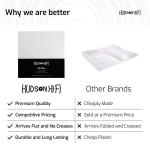 Hudson Hi-Fi Flexible Archival-Grade Vinyl Jacket Outer Sleeves – 100 Pack – Crystal Clear Polypropylene, Anti-Static & Acid-Free