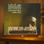 Homsewit Now Playing Vinyl Record Stand, Wooden LED Vinyl Album Display Storage, Light Up Acrylic Music Collection Holder