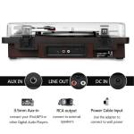 Vinyl Record Player with Bluetooth Input/Output, FM Radio, USB/SD Play&Recording, 3 Speed Turntable with Built-in Speakers, RCA Output, AUX in, Earphone Jack