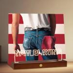 Homsewit Now Playing Vinyl Record Stand, Wooden LED Vinyl Album Display Storage, Light Up Acrylic Music Collection Holder