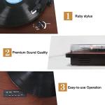 Vinyl Record Player with Bluetooth Input/Output, FM Radio, USB/SD Play&Recording, 3 Speed Turntable with Built-in Speakers, RCA Output, AUX in, Earphone Jack