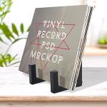 EGMEHOAD Vinyl Record Storage Holder, Black Lp Record Holder,Metal Album Storage for Vinyl Records