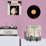 EGMEHOAD Vinyl Record Storage Holder, Black Lp Record Holder,Metal Album Storage for Vinyl Records