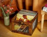 3IngSeagulls Vinyl Record Storage Crate Wooden Record Holder, Classic Cube Record Organizer Storage 100+ Records, Brown Color Vinyl Record Holder for Albums Super Easy to Assemble…