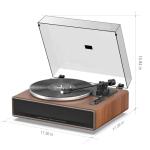 1 by ONE High Fidelity Belt Drive Turntable with Built-in Speakers, Vinyl Record Player with Magnetic Cartridge, Wireless Playback and Aux-in Functionality, Auto Off
