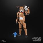 STAR WARS The Black Series Stormtrooper (Holiday Edition), Premium Collectible 6-Inch Action Figure