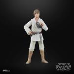 STAR WARS The Black Series Luke Skywalker, A New Hope Collectible 6 Inch Action Figure