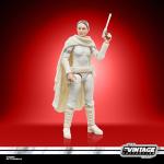 STAR WARS The Vintage Collection Padmé Amidala, Attack of The Clones Premium 3.75 Inch Collectible Action Figure