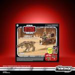 STAR WARS The Vintage Collection Orray & Geonosian Picador, Attack of the Clones Premium 3.75 Inch Collectible Action Figures