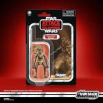 STAR WARS The Vintage Collection Orray & Geonosian Picador, Attack of the Clones Premium 3.75 Inch Collectible Action Figures