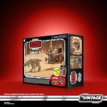 STAR WARS The Vintage Collection Orray & Geonosian Picador, Attack of the Clones Premium 3.75 Inch Collectible Action Figures