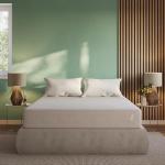 Tuft & Needle Kin Medium Plush 10" Full Hybrid Mattress, Cooling, Pressure Relief, and Individually-Wrapped Coils, 100 Night Trial, Fiberglass-Free, CertiPUR-US, 10-Year Limited Warranty