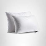 Beautyrest Luxury Goose Feathers Soft Pillows, 500 Thread Count Cover 20”x28”, Queen (Pack of 2), Supportive Fluffy Hotel Collection Bed Pillows for Side and Back Sleepers