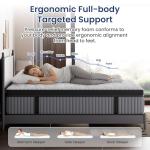 BedStory Extra Firm Queen Mattress 14 Inch, Deep Sleep Hybrid Mattresses 7-Zone Pain Relief - Extra Firm Bed in a Box - Fiberglass Free, CertiPUR-US Certified, 365-Night Trial, Forever Warranty