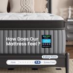 BedStory Extra Firm Queen Mattress 14 Inch, Deep Sleep Hybrid Mattresses 7-Zone Pain Relief - Extra Firm Bed in a Box - Fiberglass Free, CertiPUR-US Certified, 365-Night Trial, Forever Warranty