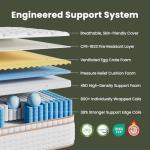 BedStory Firm Mattress Queen - 14 Inch Hybrid Mattress with Ideal Lumbar Support and Reinforced Edges - Back Pain Relief, Motion Isolation - CertiPUR-US, Fiberglass-Free, 365-Night Trial