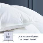 Maple&Stone Feather Down Comforter Queen Size All Season White Down Duvet Insert Ultra Soft 100% Cotton Cover Fluffy Queen Comforter 90 x 90 Inches