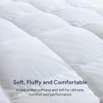 Maple&Stone Feather Down Comforter Queen Size All Season White Down Duvet Insert Ultra Soft 100% Cotton Cover Fluffy Queen Comforter 90 x 90 Inches