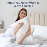 DIORIS Pillows Queen Size Set of 2 - Luxury Hotel Collection Bed Pillows for Sleeping, Supportive Side Sleeper Pillow, Fluffy Down Alternative Microfiber Filled for Back, Stomach Sleepers