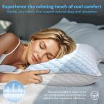 HEYCUZI Bed Pillows Queen Size for Sleeping - Breathable Down Alternative Soft Pillows Set of 2 for Side, Back, and Stomach Sleepers - Hotel Quality Fluffy Microfiber Fill Cooling Skin-Friendly