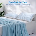 HEYCUZI Bed Pillows Queen Size for Sleeping - Breathable Down Alternative Soft Pillows Set of 2 for Side, Back, and Stomach Sleepers - Hotel Quality Fluffy Microfiber Fill Cooling Skin-Friendly