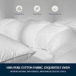 Serta Goose Feather Down Fiber Cotton Comforter Twin Size - 100% Cotton Duvet Insert - Hotel Luxury Hypoallergenic Bedding Comforter All Season Medium Warmth 68 x 90 Inch White