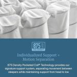 Beautyrest Prime Dream Firm 13" Mattress - Queen - Durable Pocketed Coil, Support, Pressure Relief, Cooling, Motion Separation; 100 Night Sleep Trial and 10 Year Warranty