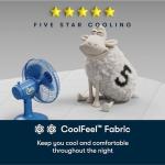 Serta Five Star Mattress Tranquility 14-Inch Plush – Queen – Zoned Support, Pressure Relief, Cooling Comfort – Made in USA – Bed-in-a-Box – 100 Night Trial, 10-Year Limited Warranty