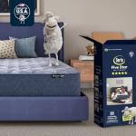 Serta Five Star Mattress Tranquility 14-Inch Plush – Queen – Zoned Support, Pressure Relief, Cooling Comfort – Made in USA – Bed-in-a-Box – 100 Night Trial, 10-Year Limited Warranty