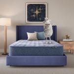 Serta Five Star Mattress Tranquility 14-Inch Plush – Queen – Zoned Support, Pressure Relief, Cooling Comfort – Made in USA – Bed-in-a-Box – 100 Night Trial, 10-Year Limited Warranty