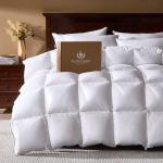Pacific Coast Goose Feather Down Comforters Queen Size, 100% Cotton Extra Fluffy White Duvet Insert, Soft, Breathable, All Season Hotel Luxury Bedding Comforters, 8 Corner & Center Loops (90"x90")