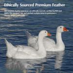 Pacific Coast Goose Feather Down Comforters Queen Size, 100% Cotton Extra Fluffy White Duvet Insert, Soft, Breathable, All Season Hotel Luxury Bedding Comforters, 8 Corner & Center Loops (90"x90")