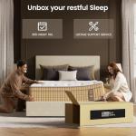 BedStory Extra Firm Queen Size Mattress, 14 Inch Hotel Collection Hybrid Mattress with Extra Lumbar & Shoulder Support, Deep Sleep Comfort, Fiberglass-Free, CertiPUR-US Certified