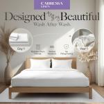 Carressa Linen 100% Egyptian Cotton Queen Sheet Set - 600 Thread Count Egyptian Cotton Queen Sheets Set (4 PC, Graphite Gray), Ultra Soft, Cooling, 16" Deep Pocket Sateen Weave Luxury Hotel Bed Sheet