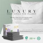 Carressa Linen 100% Egyptian Cotton Queen Sheet Set - 600 Thread Count Egyptian Cotton Queen Sheets Set (4 PC, Graphite Gray), Ultra Soft, Cooling, 16" Deep Pocket Sateen Weave Luxury Hotel Bed Sheet