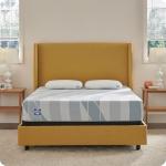 Sealy Dreamlife 10” Hybrid Mattress-in-a-Box, Queen, SealyComfort Gel Memory Foam, SealyResponsive Encased Coils, Surface-Guard Technology