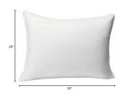 Amazon Basics Down Alternative Bed Pillows and Pillow Protector Case 2-Piece Set, Medium Density, Standard - Pack of 2, White, 26"L x 20"W