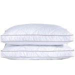 puredown® Goose Feathers and Down Pillow for Sleeping Hotel Collection Bed Pillows, Gusseted, Standard/Queen, Set of 2