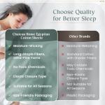 100% Egyptian Cotton Sheets Queen Size Bed Set, 15" Deep Pocket Queen Sheet set, 800 Thread Count Sateen Cotton Bed Sheet, Cool Soft Breathable No Pill Elasticated Luxury White Bedding For All Seasons