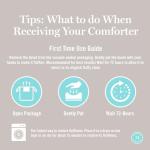 Martha Stewart Goose Feather Down Fiber Cotton Comforter Queen Size, Feather Duvet Insert Queen, Hotel Collection Hypoallergenic Comforter 58oz All Season Medium Warmth 90 x 90 Inch White