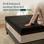 Zinus Lumbar+ Premium 14 Inch Memory Foam Mattress, Lumbar Support, Targeted Pressure Relief, Cooling Gel and Green Tea, Cool-to-The-Touch Cover, Medium Firm Feel, CertiPUR US Certified, King