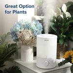 LEVOIT - Humidifiers for Bedroom - Quiet (3L Water Tank) - Cool Mist/Top Fill/Essential Oil Diffuser/25Watt - Home/Large Room - 360° Nozzle - Rapid Ultrasonic Humidification for Baby Nursery/Plant