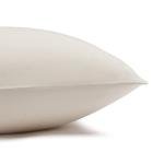 Amazon Basics Lightweight Super Soft Easy Care Microfiber Bed Sheet Set with 14" Deep Pockets - Full (Pack of 4), Beige, Solid