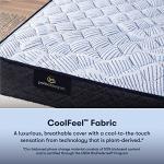 Serta Perfect Sleeper Enhanced 12" Queen Mattress - Firm, Cooling Gel Memory Foam, Pocket Innersprings for Motion Isolation, Edge Support, CertiPUR-US Certified - Nurture Night