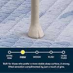 Serta Five Star Mattress Tranquility 14-Inch Firm – Queen – Zoned Support, Pressure Relief, Cooling Comfort – Made in USA – Bed-in-a-Box – 100 Night Trial, 10-Year Limited Warranty