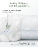 DIORIS Pillows Queen Size Set of 2 - Luxury Hotel Collection Bed Pillows for Sleeping, Supportive Fluffy Down Alternative Microfiber Filled for Back, Stomach Sleepers