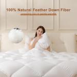 DOWNSTORIA Feather Down Fiber Comforter Oversized King Size, Ultra Soft Fabric Duvet Insert, Luxurious Hotel Collection White Bedding Comforters, All Season Medium Warmth 120 x 98 Inch.