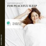 Ashton Sheets 100% Egyptian Cotton King Size Sheet Set - 600 Thread Count Egyptian Cotton Sheets Set for King Size Bed (4 Pc, Dark Grey), Soft, Cooling, Luxury Hotel 16" Deep Pocket Sateen Bedsheet