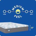 Sealy Dreamlife 12” Hybrid Mattress-in-a-Box, Queen, SealyComfort Gel Memory Foam, SealyResponsive Encased Coils, Surface-Guard Technology